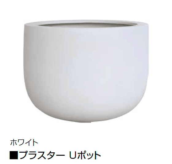 オンリーワンクラブの「プラスター」のサブ画像4