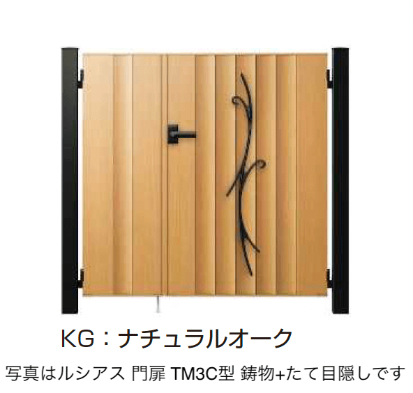 YKK APの「〔ポケットキーシステム〕電気錠付 ルシアス 門扉 TM3C型 鋳物+たて目隠し【2025年6月発売】」のサブ画像2