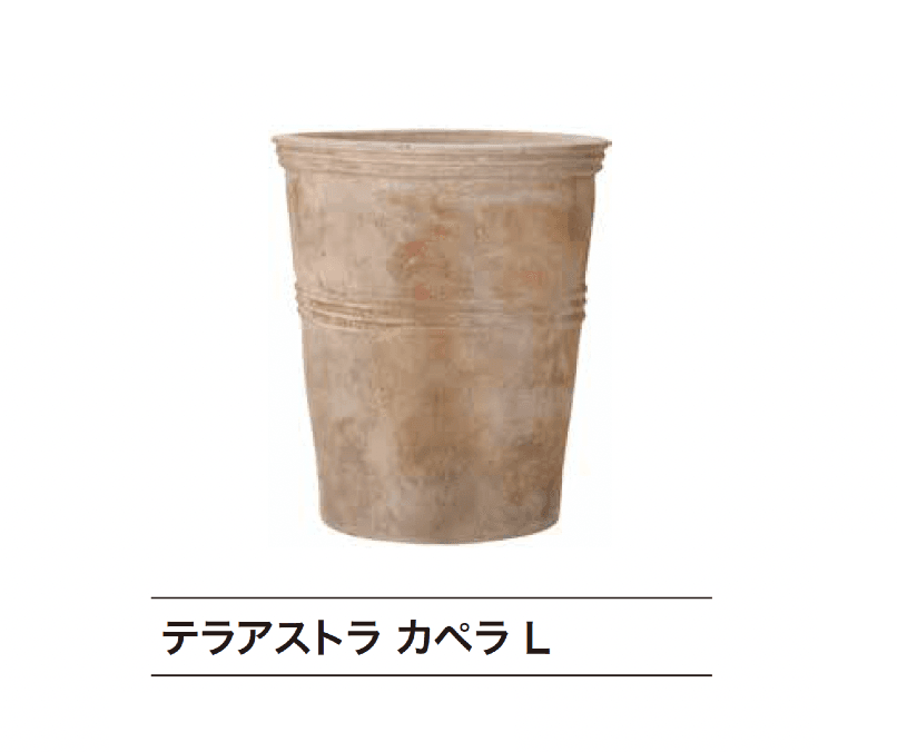 ゆとりの「テラアストラ」