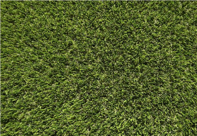 ゆとりの「レスコンターフ 起立タイプ【2024年版】」