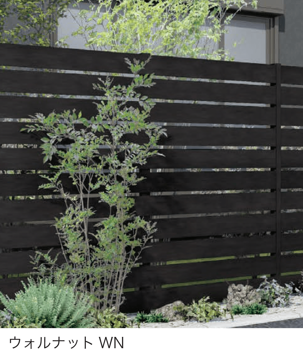 F&Fの「マイディウッド プレミアム」