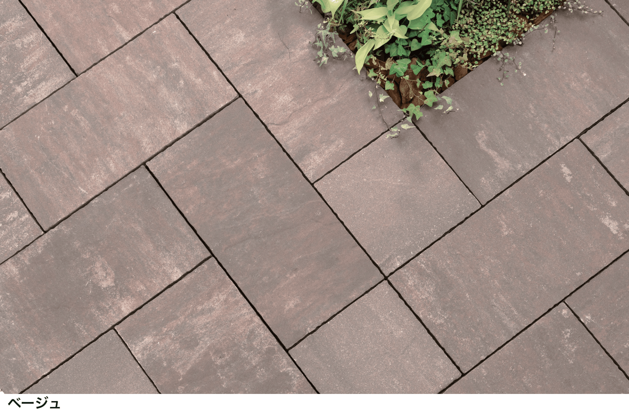 マチダコーポレーションの「アルテア Wタイプ」