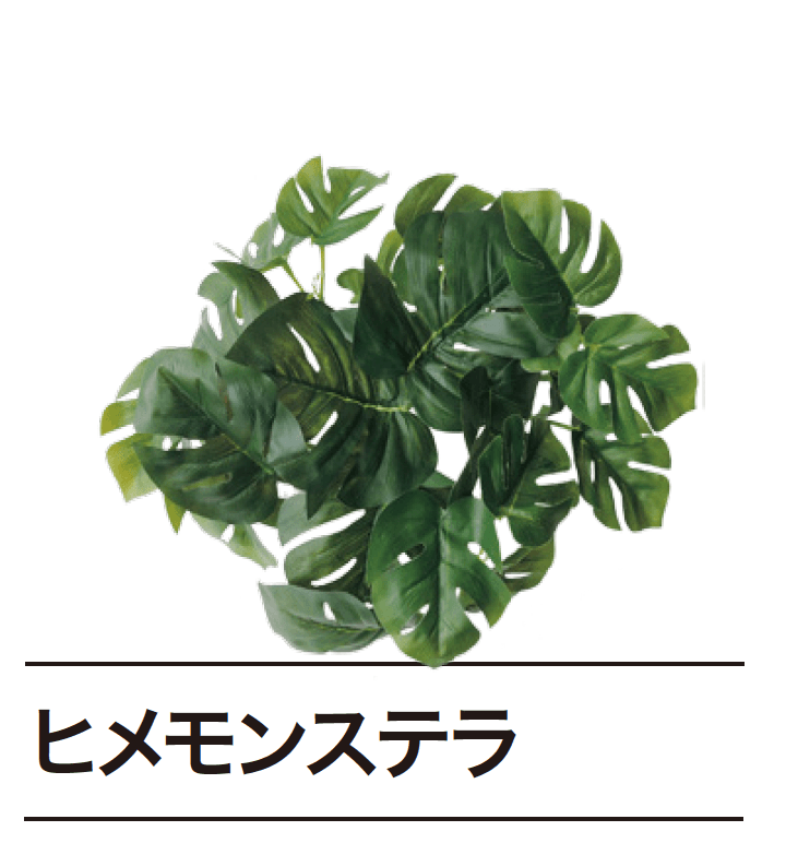 ゆとりの「ぴたっとグリーン【2024年版】」のサブ画像4