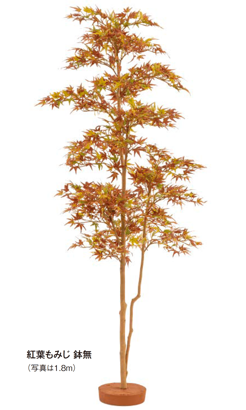 タカショーの「和風もみじ」のサブ画像4