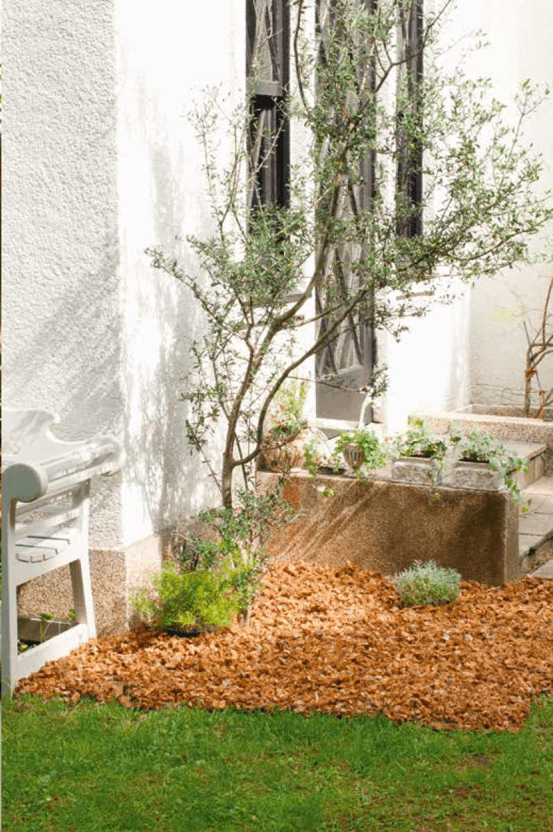 オンリーワンクラブの「ヤシの実チップ ベラボン」のサブ画像1