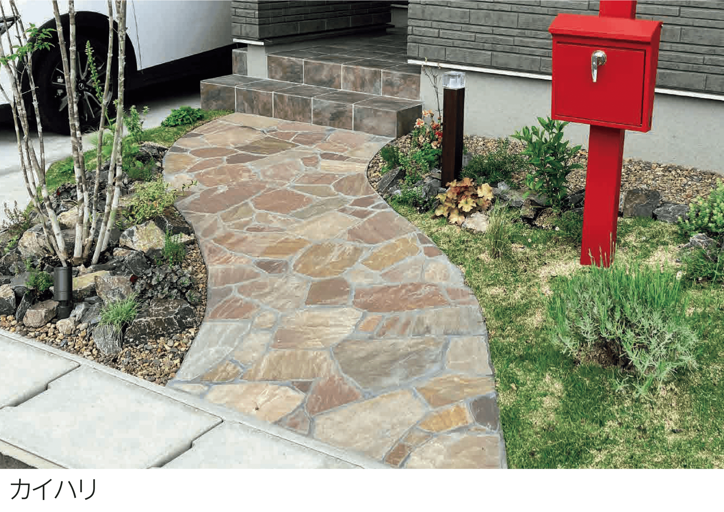 エスビックの「ラジャスターン 乱形」