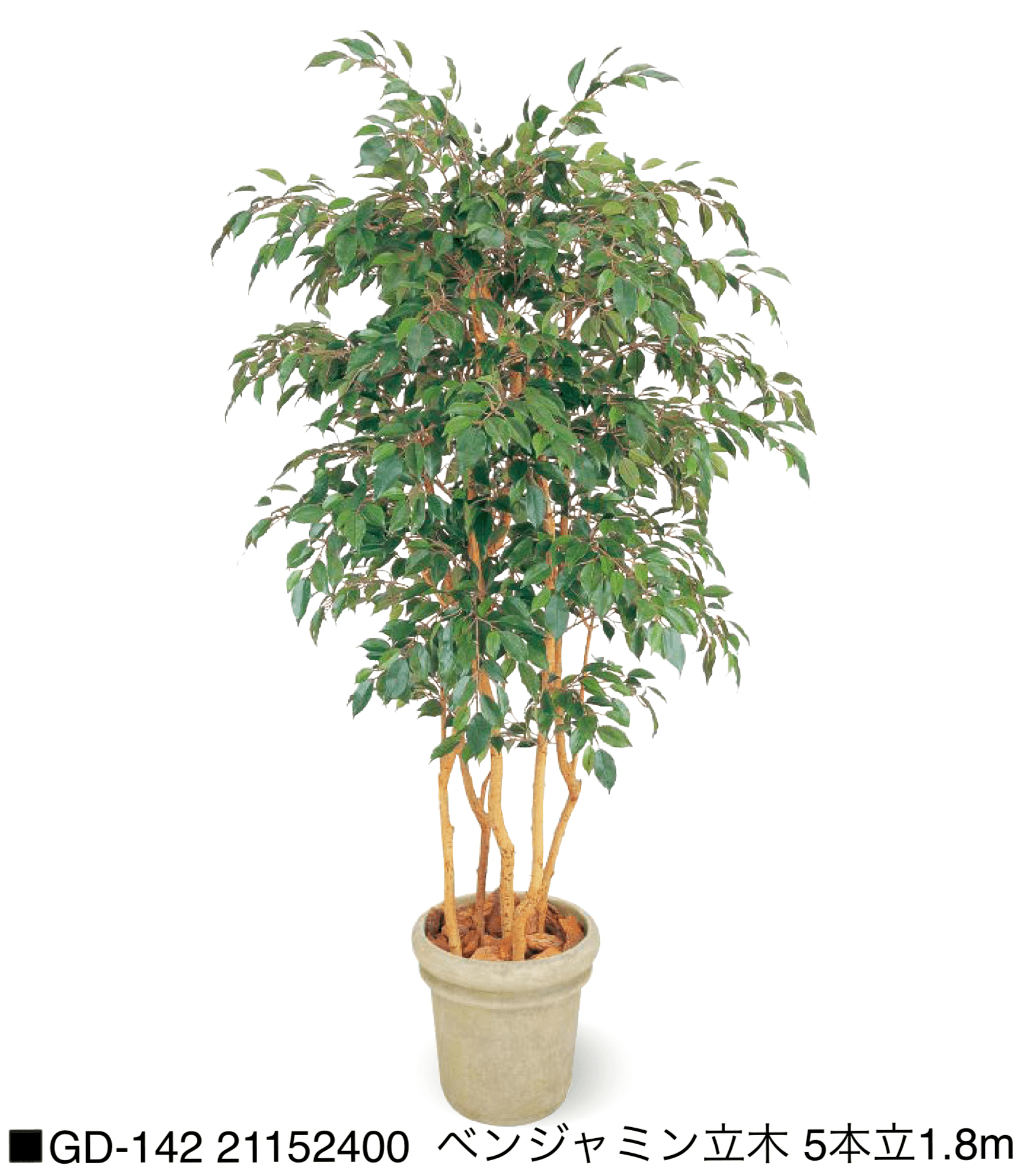 タカショーの「観葉植物【2025年版】」のサブ画像5