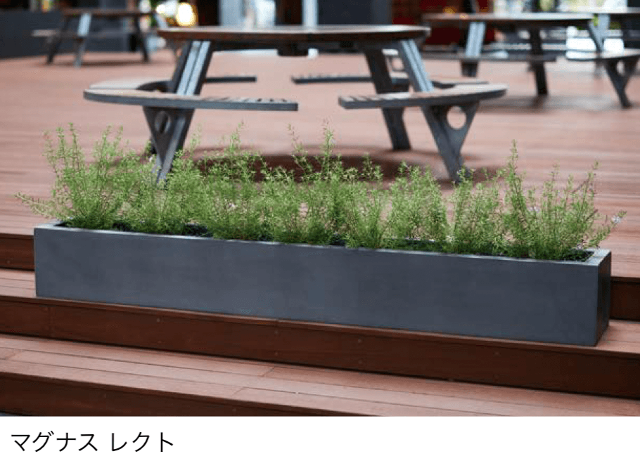 オンリーワンクラブの「マグナス」のサブ画像3