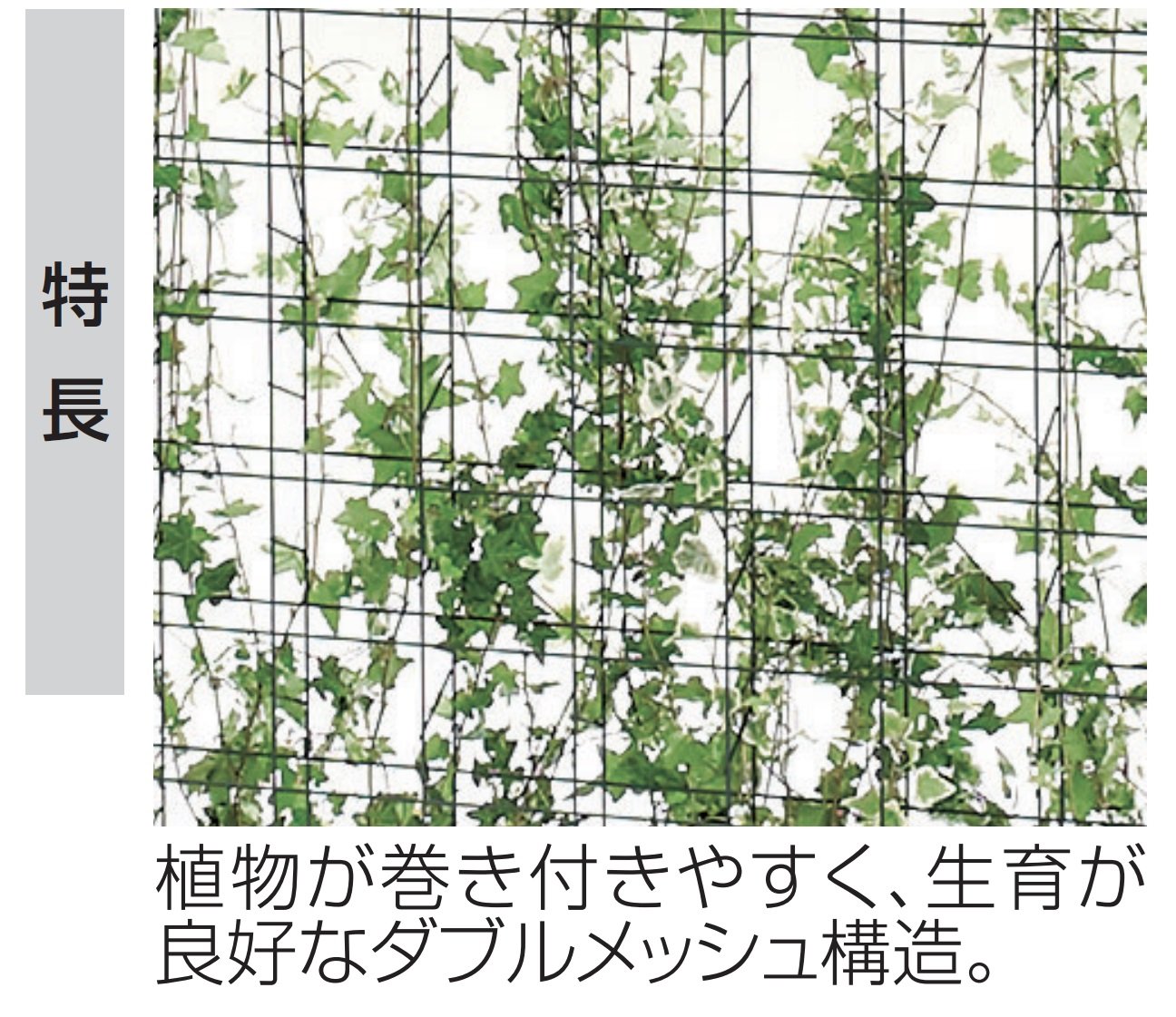 四国化成の「ハイパーテーション(グリーンメッシュタイプ)【2024年版】」のサブ画像2