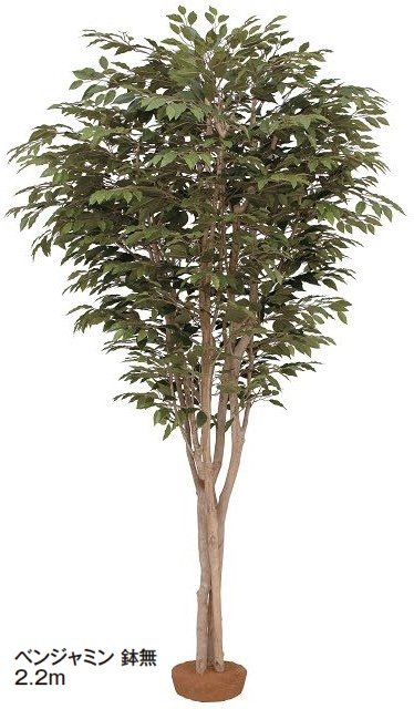 タカショーの「大型人工樹【2024年版】」のサブ画像3