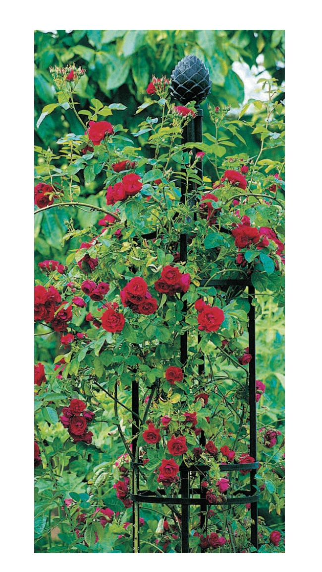 セキスイデザインワークスの「ローズサポート クラシック・ガーデン・エレメンツ」のサブ画像3