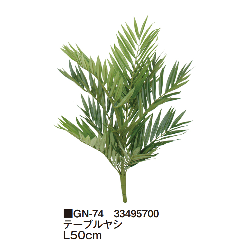 タカショーの「グランドカバー 下草【2025年版】」のサブ画像20