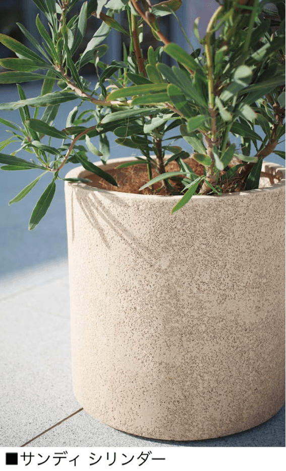 オンリーワンクラブの「サンディ【2024年版】」