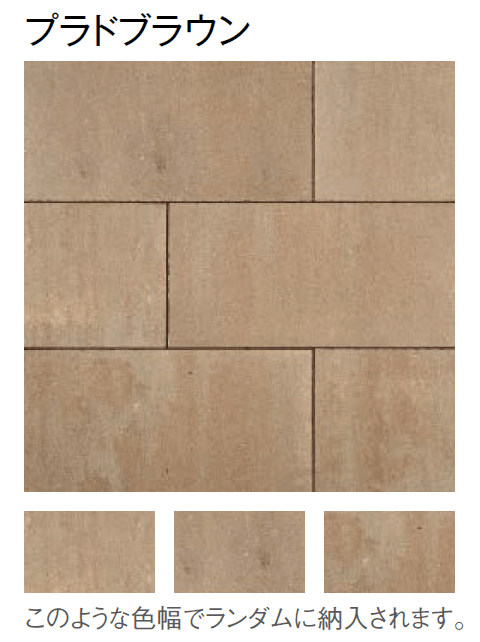 東洋工業の「プラーガペイブ」のサブ画像5