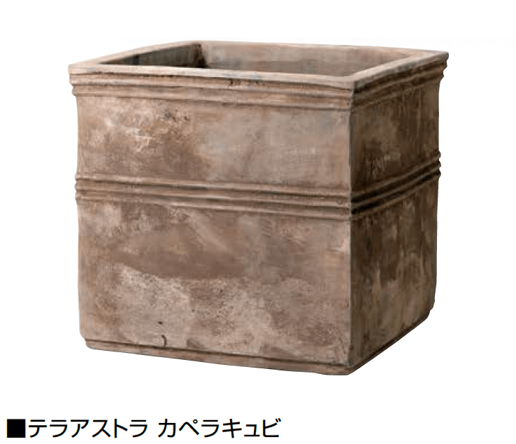 オンリーワンクラブの「テラアストラ」のサブ画像3