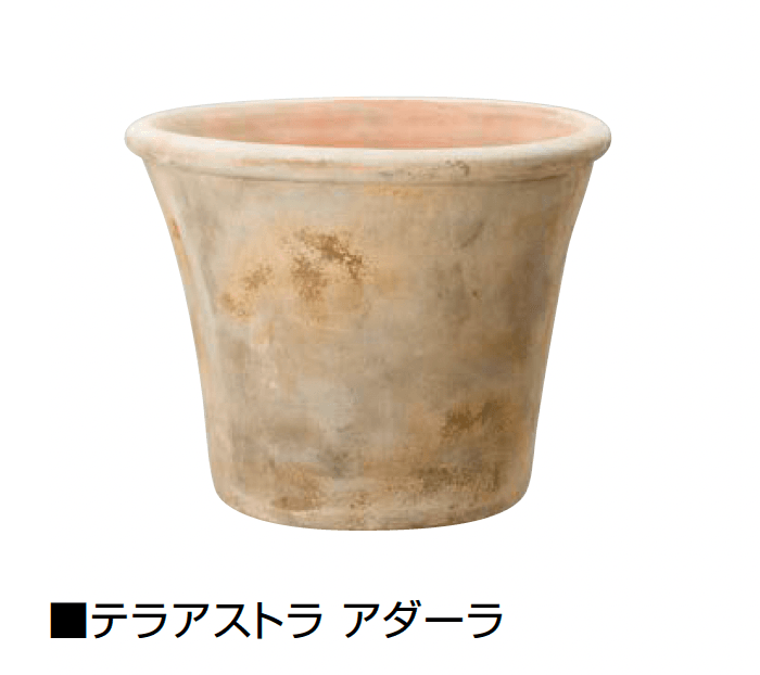 オンリーワンクラブの「テラアストラ」のサブ画像9