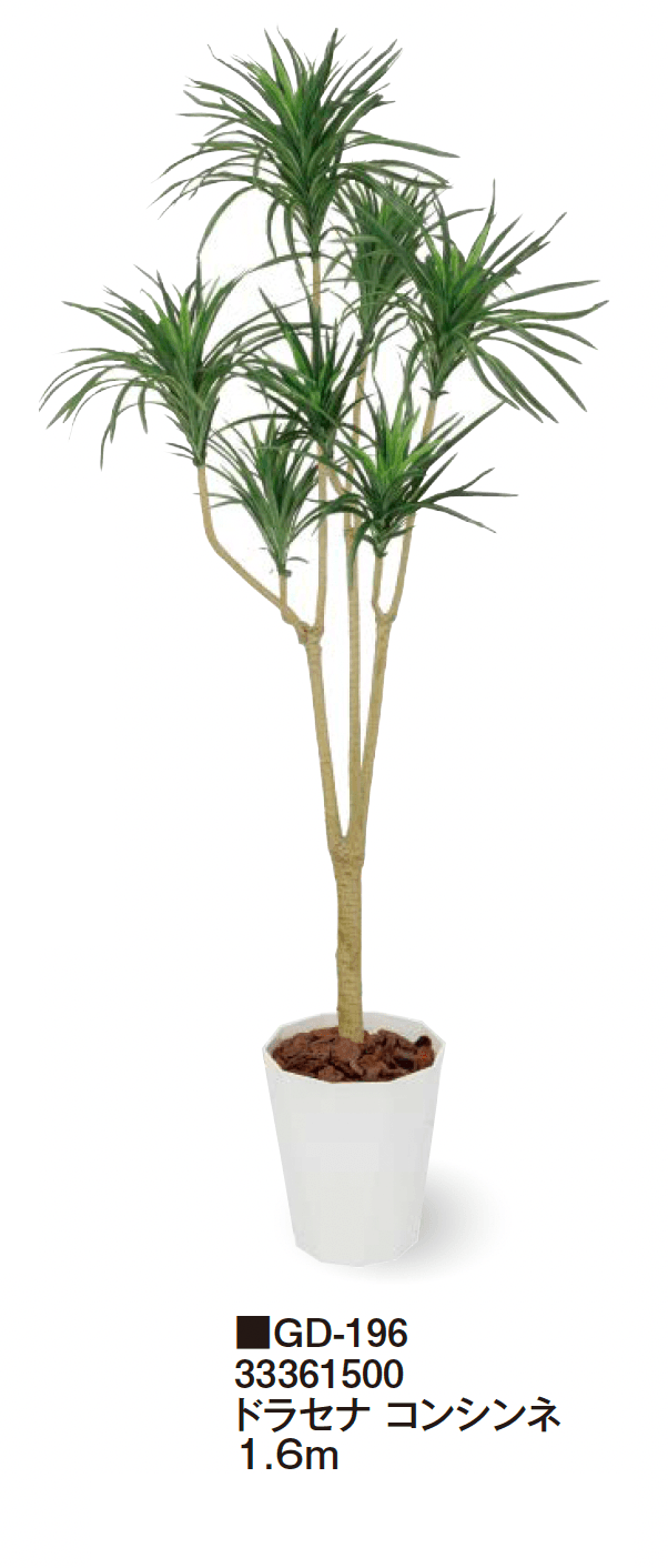 タカショーの「観葉植物【2024年版】」のサブ画像21