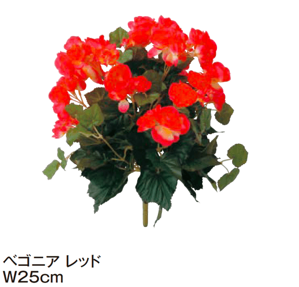 タカショーの「グランドカバー 下草【2024年版】」のサブ画像5