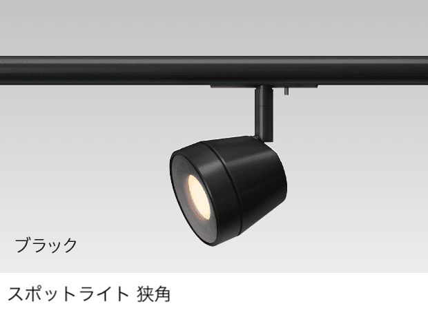 タカショーの「ローボルトレール ライト」