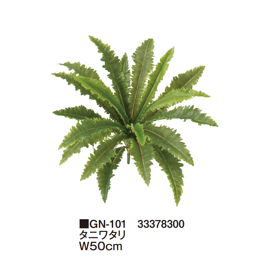 タカショーの「グランドカバー 下草【2025年版】」のサブ画像17