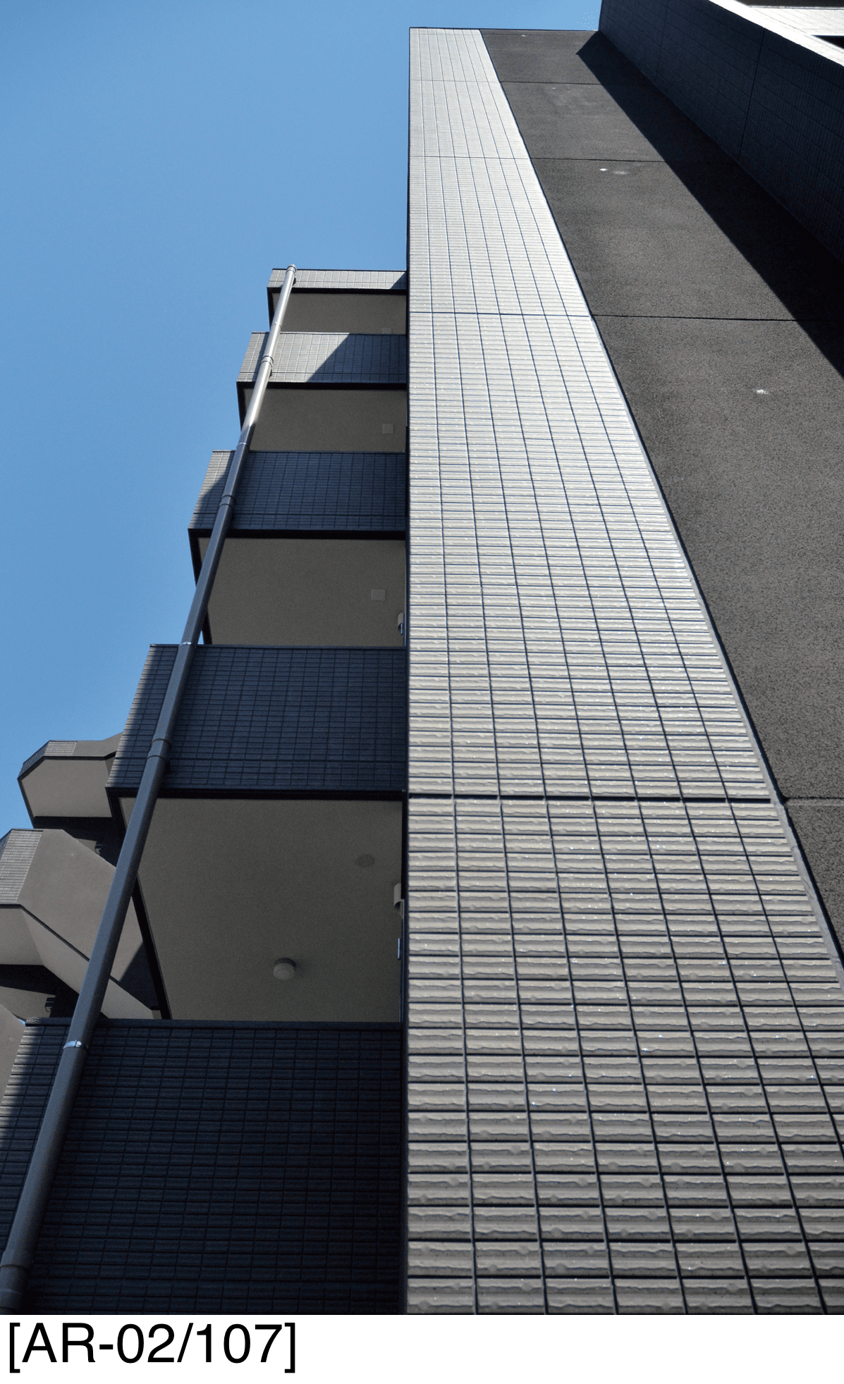 アイコットリョーワの「アルカディア」