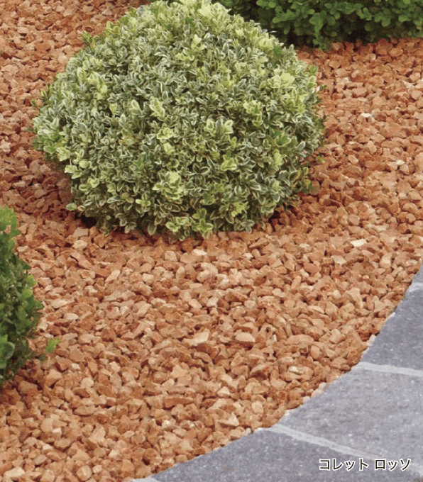 オンリーワンクラブの「コレット」