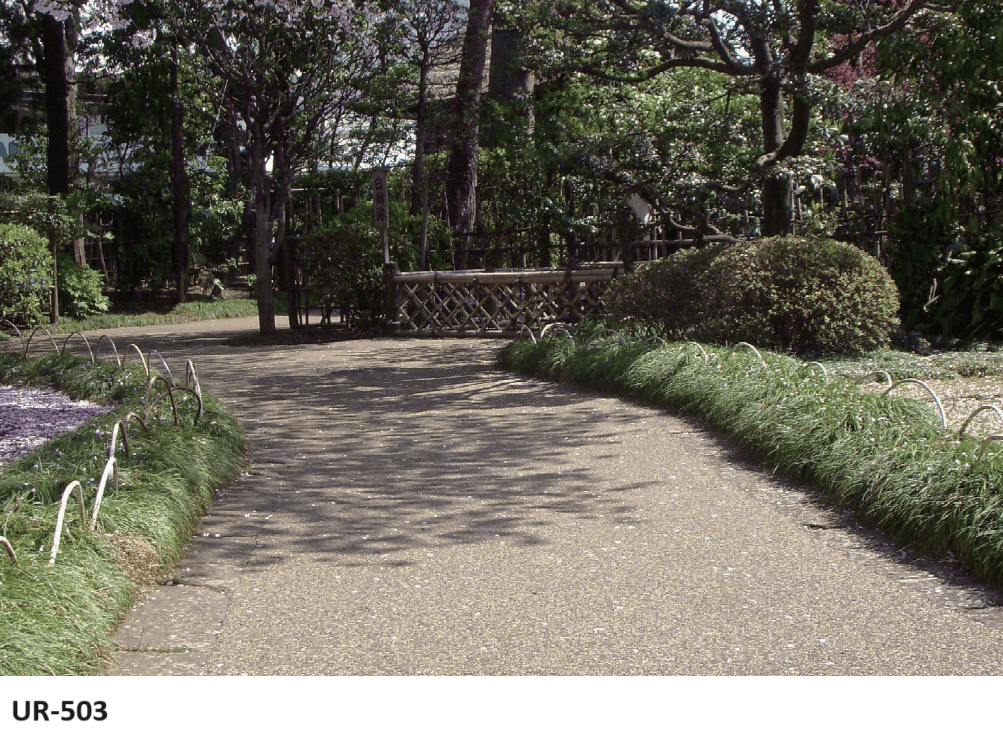 マチダコーポレーションの「ニューファンシア【2024年版】」