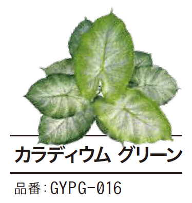 ゆとりの「ぴたっとグリーン【2023年版】」のサブ画像15