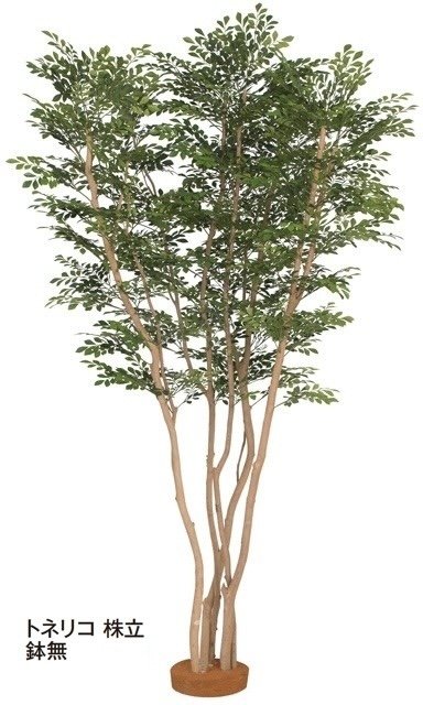 タカショーの「大型人工樹」のサブ画像2