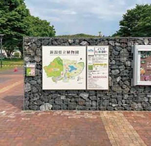 ゆとりの「ゆとり@フェンスATF」