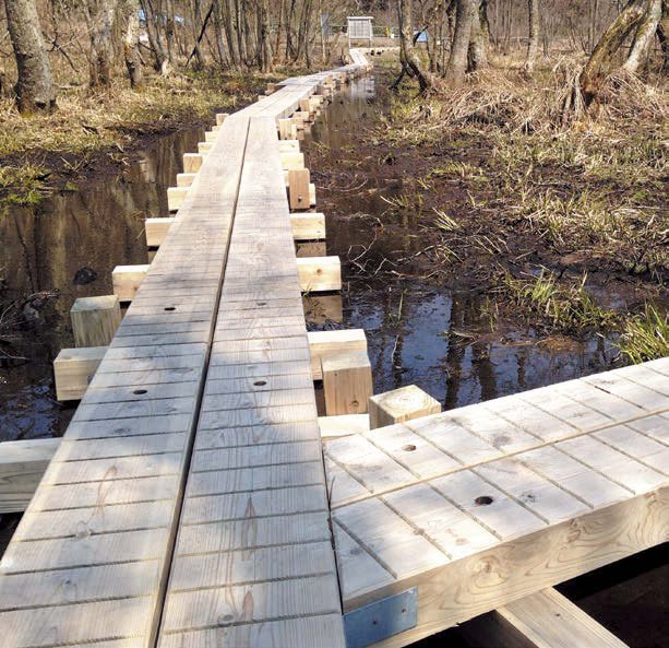 オンリーワンクラブの「マーベルウッド」のサブ画像2