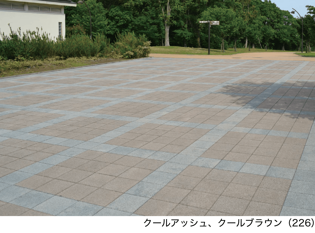 エスビックの「シャビー【2024年版】」