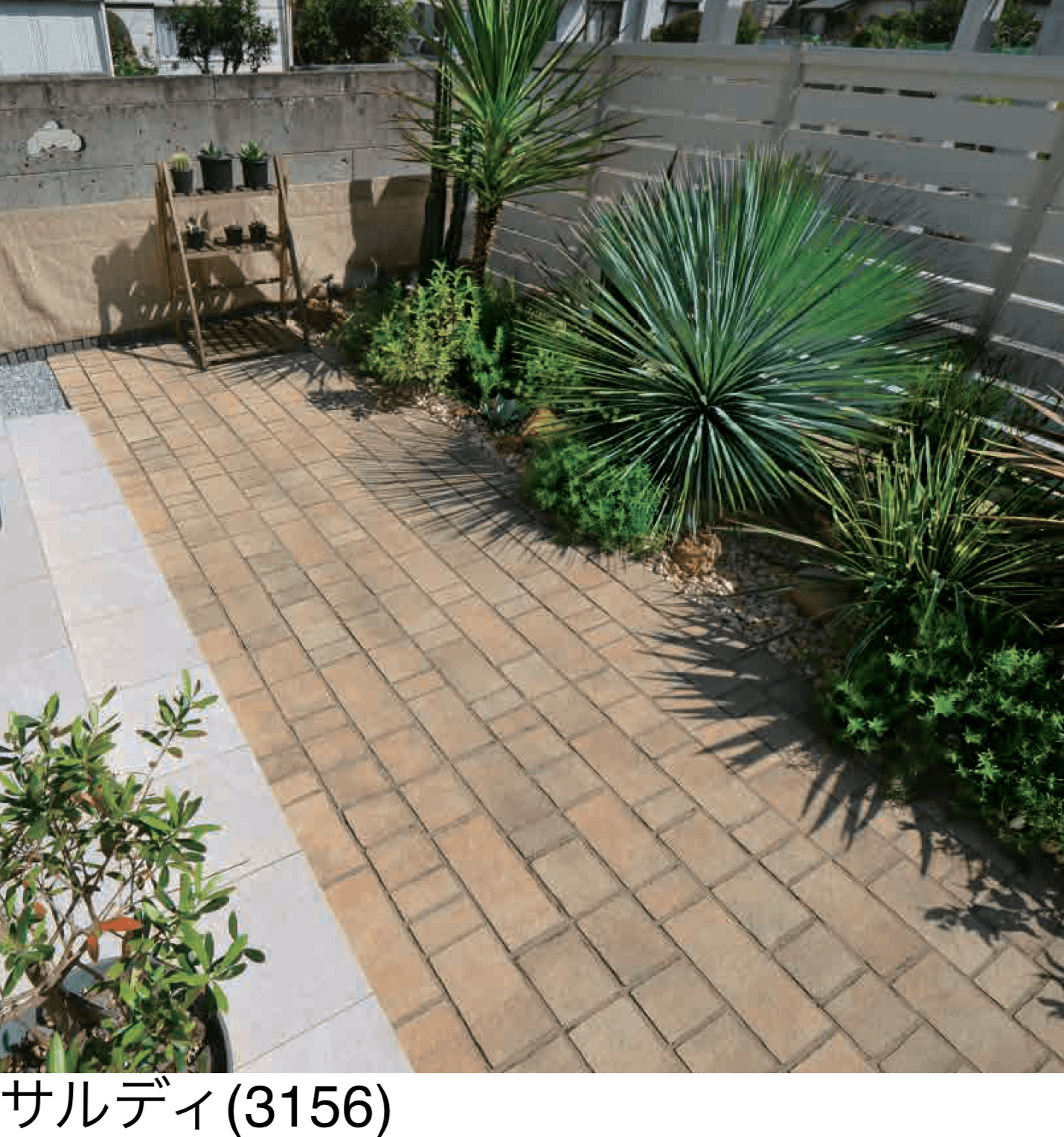 エスビックの「パエリア」のサブ画像1