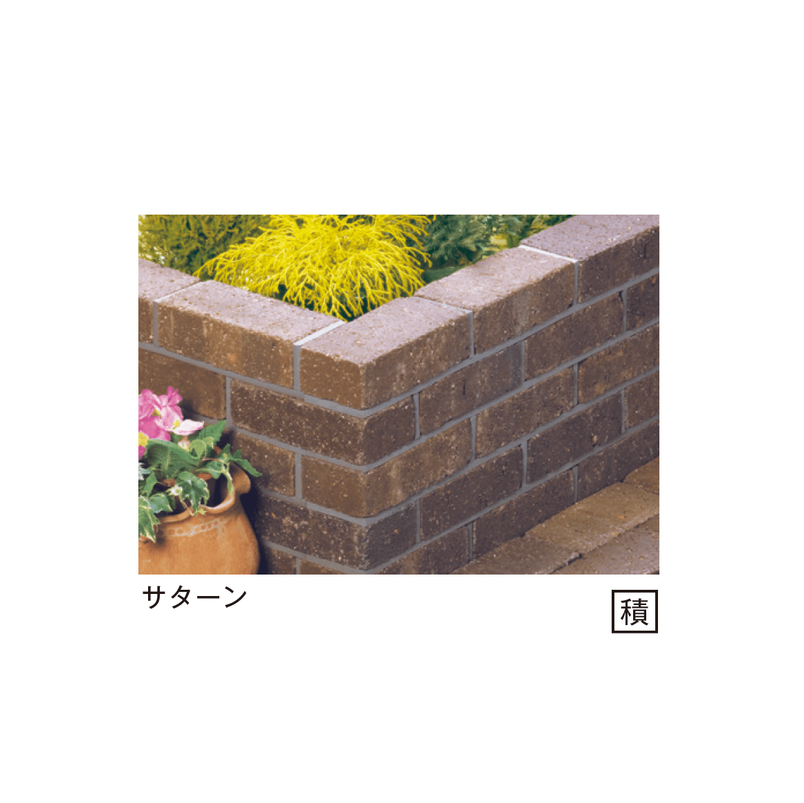 メイクランドの「ステラ」のサブ画像3