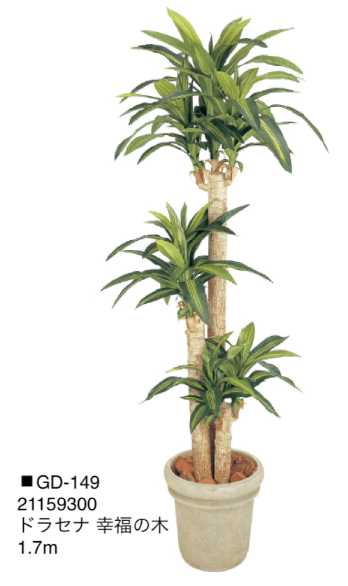 タカショーの「観葉植物【2024年版】」のサブ画像3