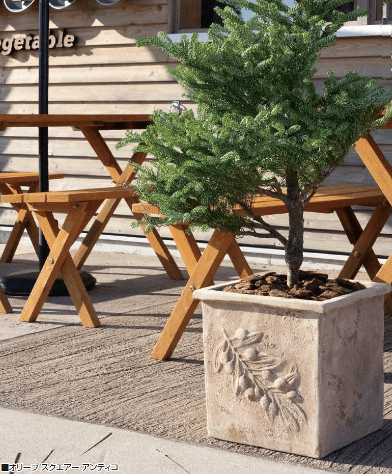 オンリーワンクラブの「アンティコ【2023年版】」