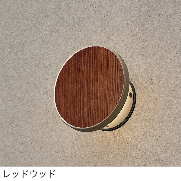 タカショーの「エバーアートウォールライト3型」