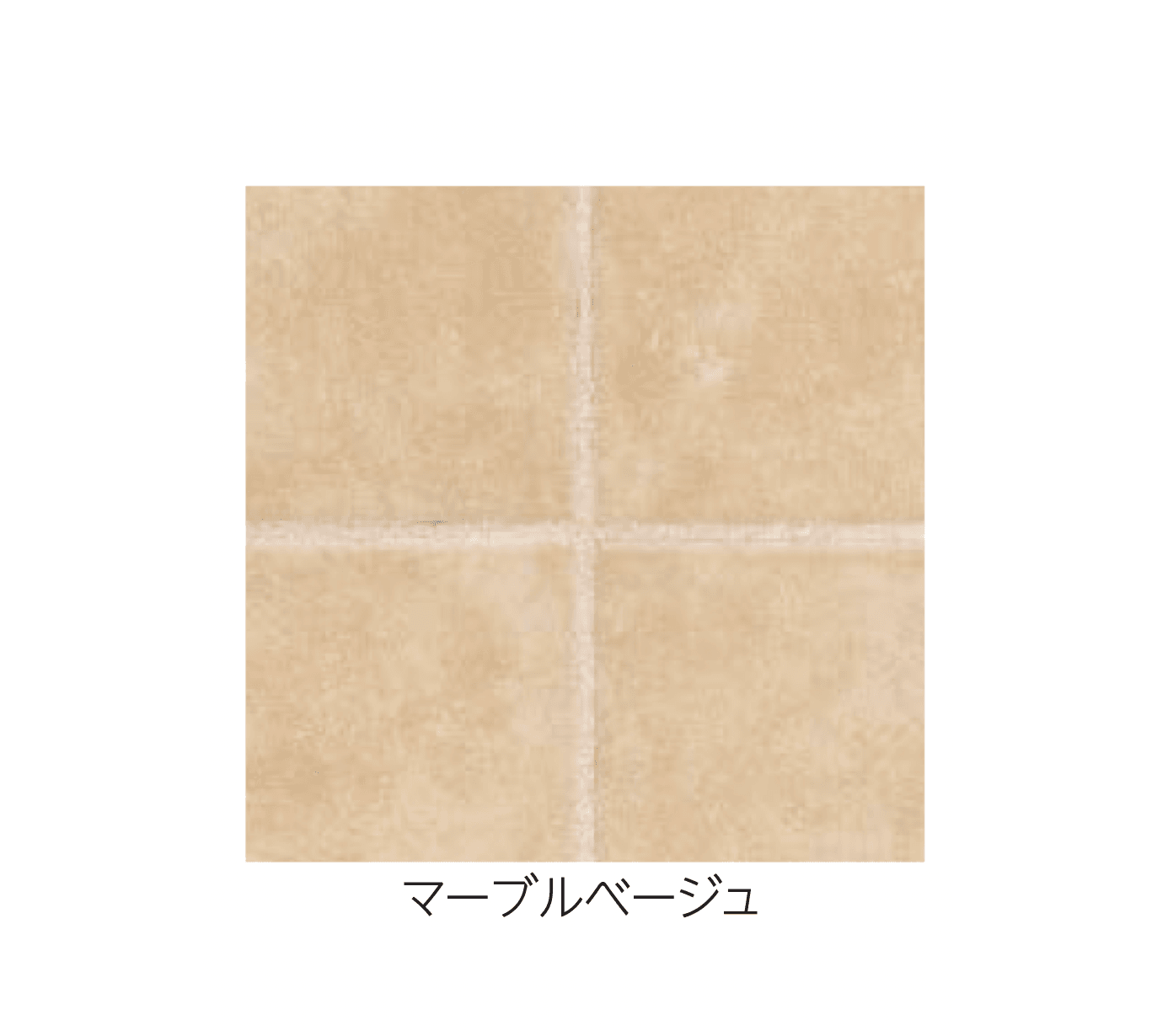 エスビックの「アクシア・カロ」のサブ画像3