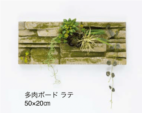 タカショーの「壁面アレンジ【2024年版】」のサブ画像25