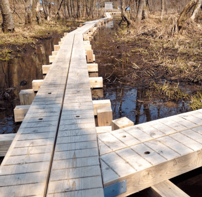 オンリーワンクラブの「マーベルウッド【2023年版】」のサブ画像6