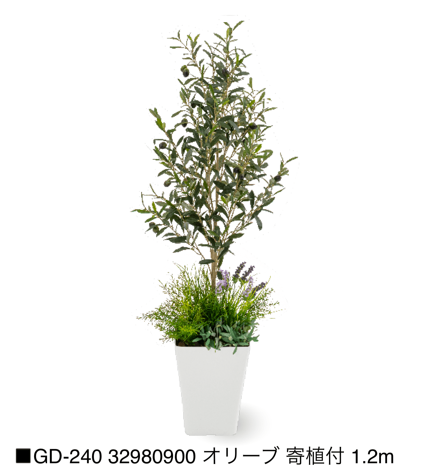 タカショーの「観葉植物【2025年版】」のサブ画像19