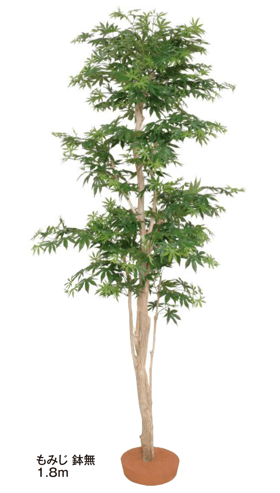 タカショーの「和風もみじ【2024年版】」のサブ画像1