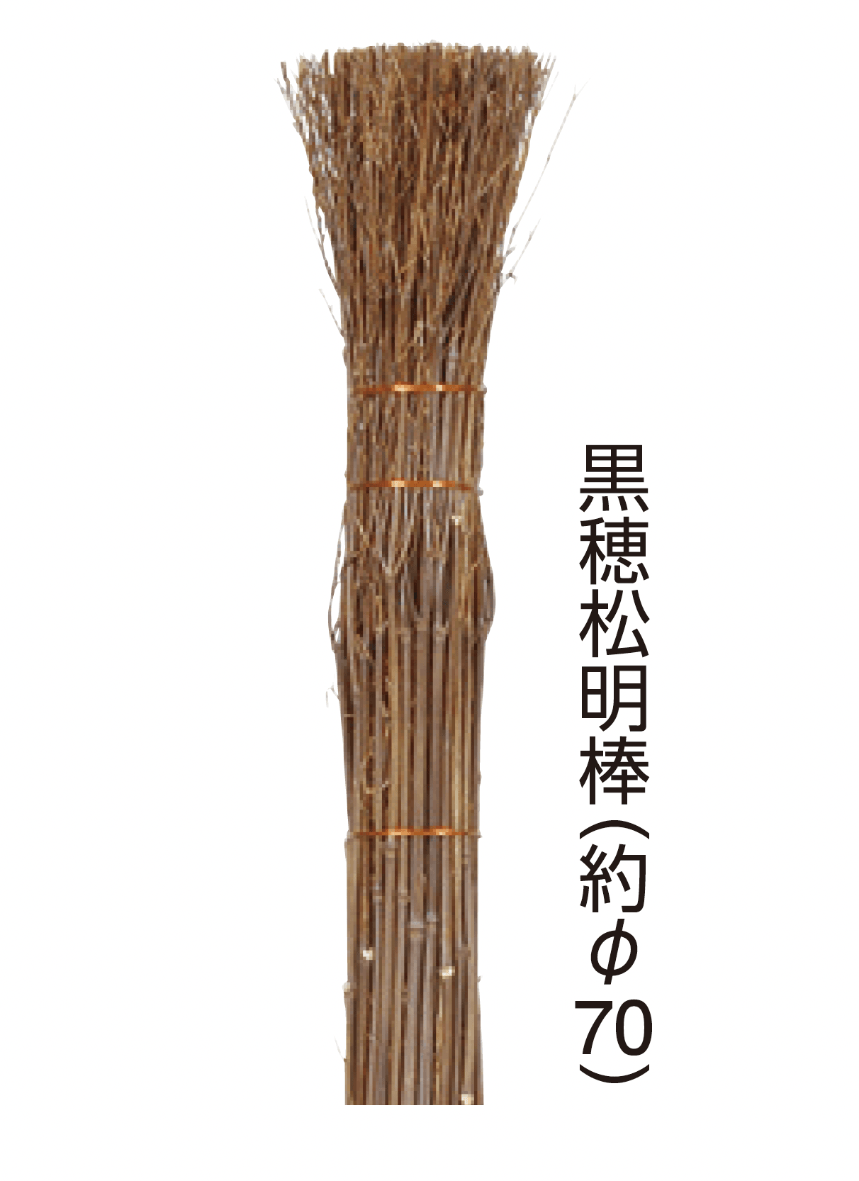 タカショーの「松明棒」のサブ画像1