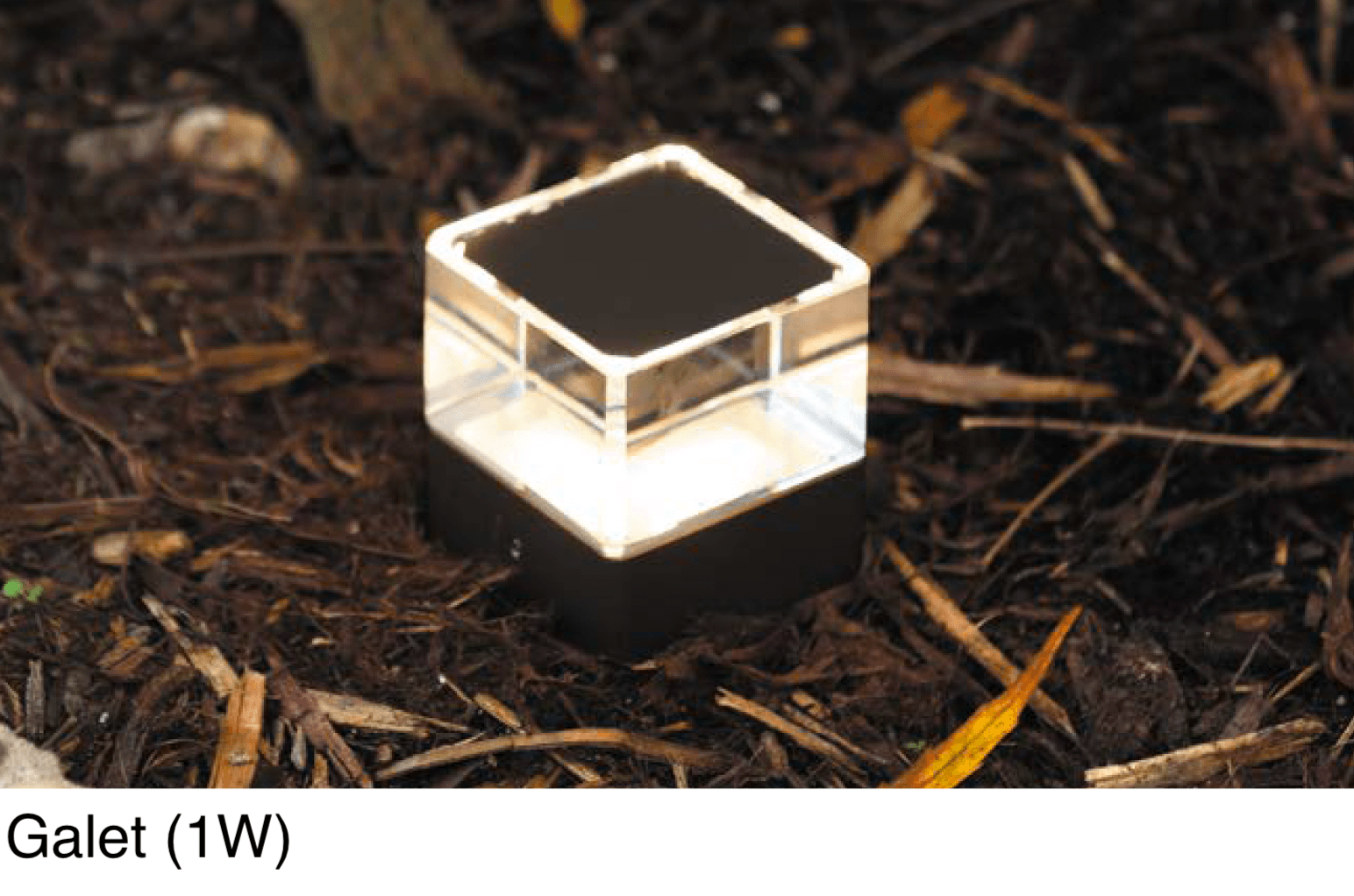 オンリーワンクラブの「プリモ ギャレット」