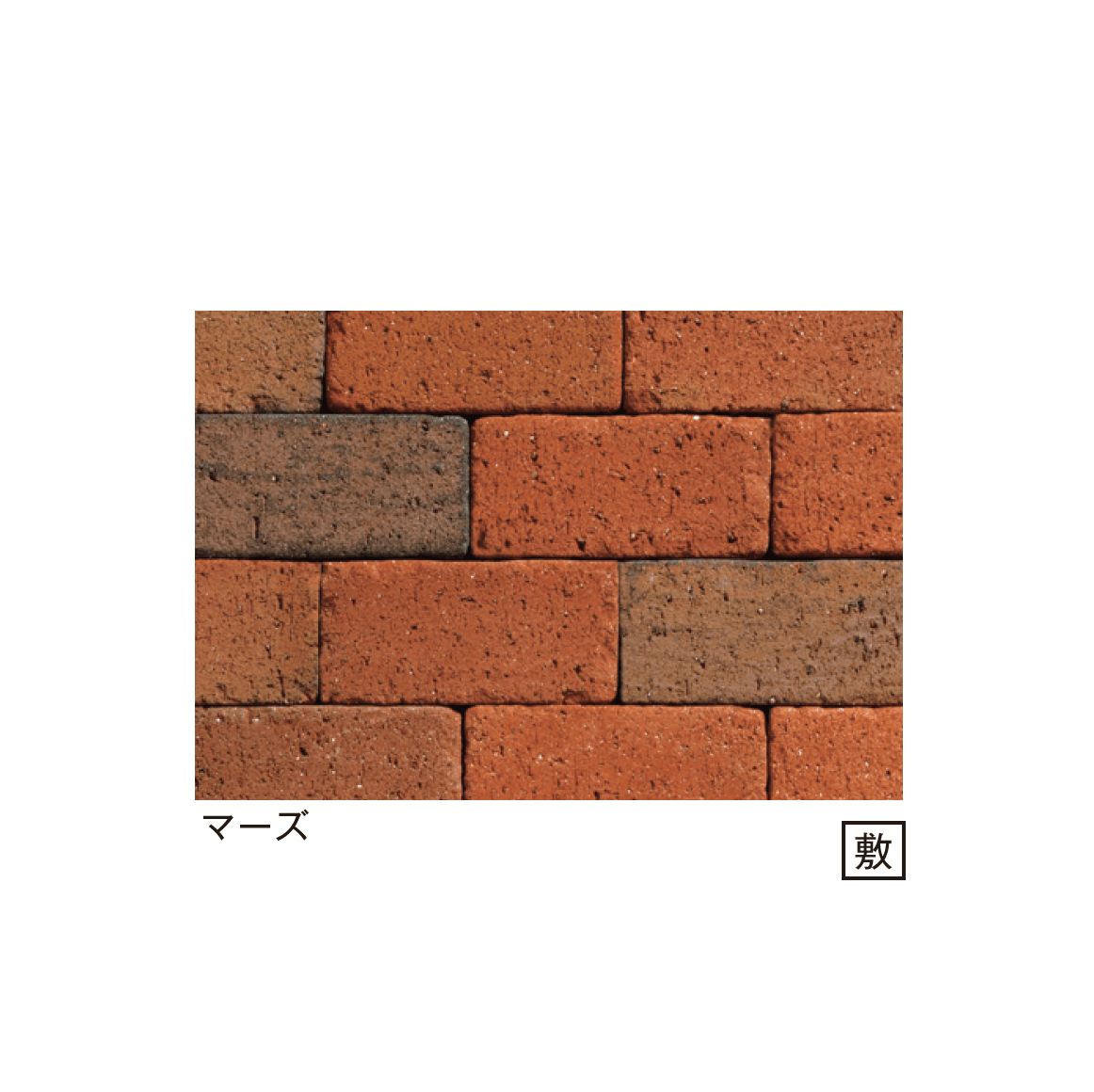 メイクランドの「ステラ」のサブ画像9
