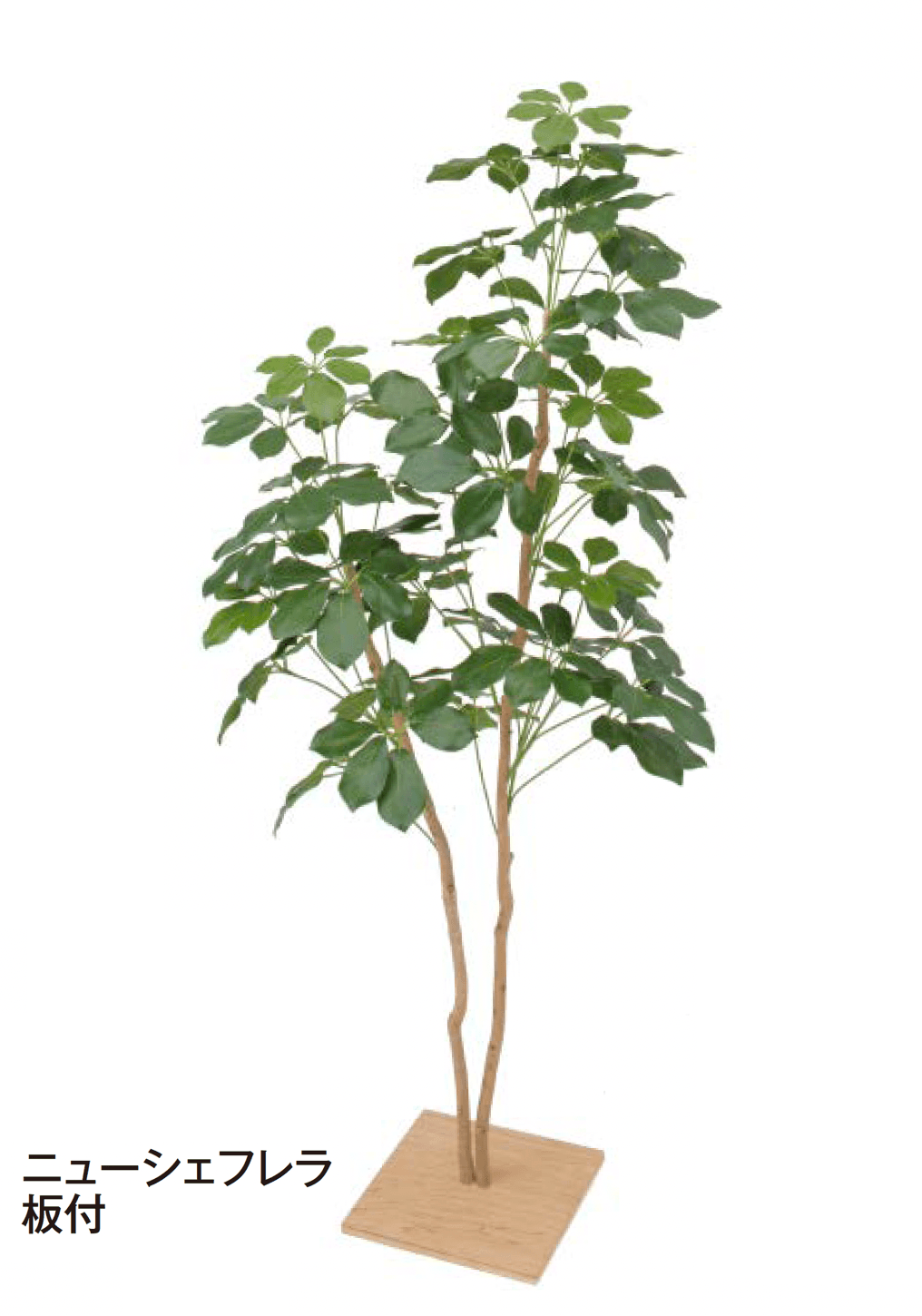 タカショーの「板付」のサブ画像6