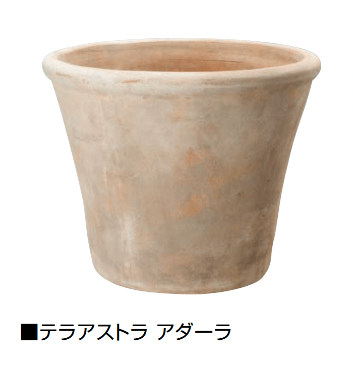 オンリーワンクラブの「テラアストラ」のサブ画像10