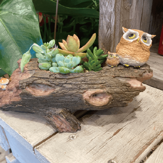 ゆとりの「フラワーポット【2024年版】」