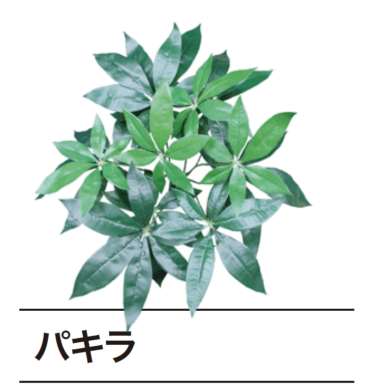 ゆとりの「ぴたっとグリーン【2024年版】」のサブ画像7