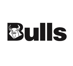 Bullsのロゴ